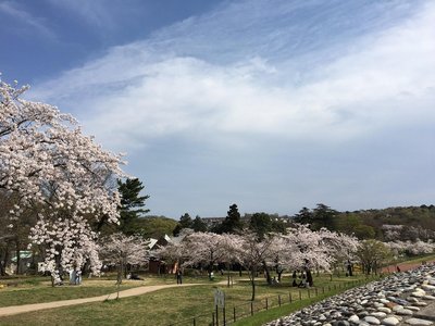 🏞️ 사야마 공원 (사야마 코엔) 이미지 2